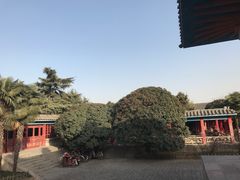 -洛阳古墓博物馆