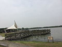 -上海都市菜园