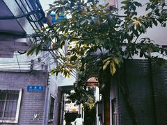 -奇香楼(五眼桥横街店)
