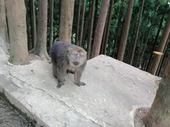 -太阳湾风景区