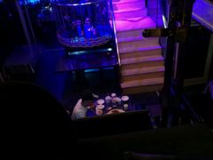 -云的侧面音乐餐吧(丰马牛餐饮广场店)