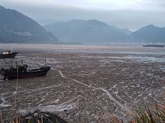 -北岐滩涂