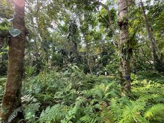 -中国科学院西双版纳热带植物园