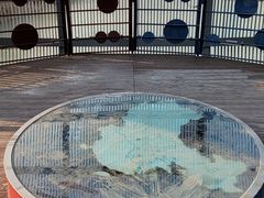 -南北地理分界线标志园