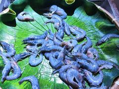 -集杰尚品海鲜烤肉自助餐厅(乳山振华店)