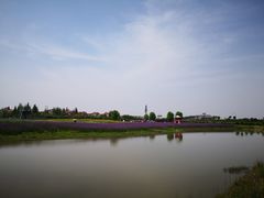 -金卉庄园