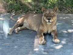 -西安秦岭野生动物园