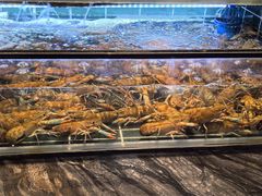 -雍容荟帝王蟹活龙虾展台自助(IFS黑金店)