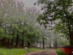 -阳台山自然风景区