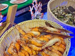 -科尔海悦酒店·柏顿花园餐厅(清河东路店)
