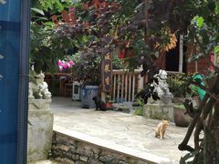 -高荡千年布依古寨旅游景区