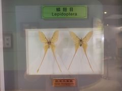 -上海昆虫博物馆