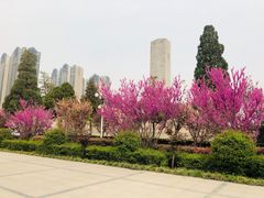 -郑州烈士陵园(二七区)