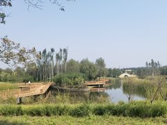 -张家湾公园