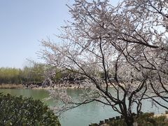 -大兴滨河森林公园