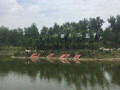 -合肥滨湖国家森林公园