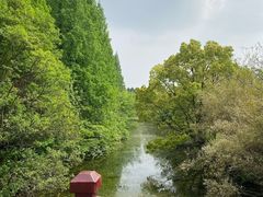 -东平国家森林公园