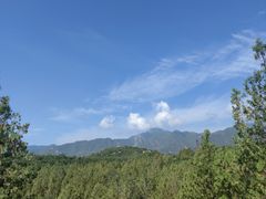 -白水寺森林公园