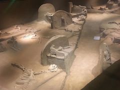 -洛阳周王城天子驾六博物馆