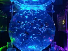 -海合安青岛极地海洋公园