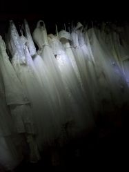 -伊诺摄影(徐州优选店)