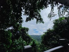-广州市白云山风景名胜区
