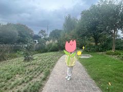 -花溪公园