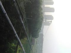 -建华生态湿地百荷园