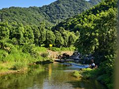 -北仑森林植物园