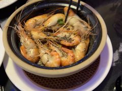 -新白鹿餐厅(百联中环店)