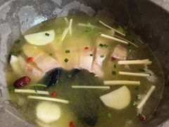 -七采菌园·石锅鱼野生菌火锅(环城北路店)