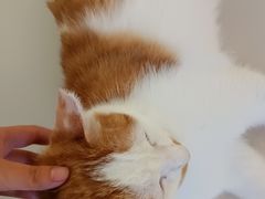 -平行世界·猫咖(首经贸店)