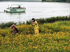 -海珠湖公园
