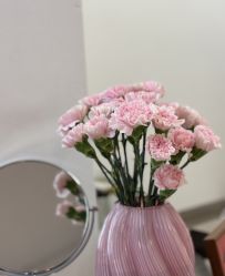 -禾壹净·素颜美问题肌肤修护中心