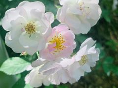 -长辛店二七公园