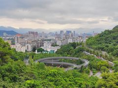 -福道