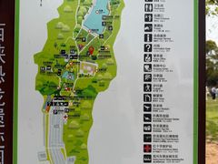 -中国西峡恐龙遗迹园