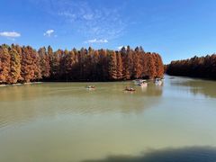 -上海海湾国家森林公园