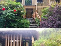 -看见远方·莫干遥远的山民宿