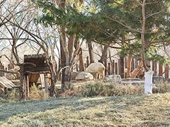 -北京野生动物园