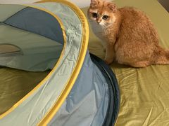 -萌兽医馆·犬猫专科·眼科中心·宠物医院(朝阳门分院)