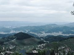 -紫鹊界梯田景区