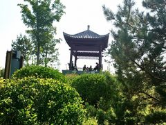 -马家湾湿地公园