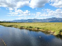 -野鸭湖国家湿地公园
