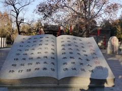 -大槐树寻根祭祖园