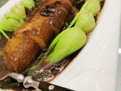虾子大乌参-梅龙镇酒家(南京西路总店)