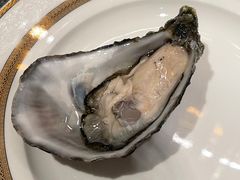 -Oyster Talks 四度蚝法餐厅