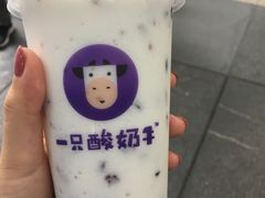 -一只酸奶牛(八一路店)