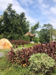 点击看大图 -云湖游乐园