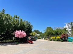 -南宫五洲植物乐园